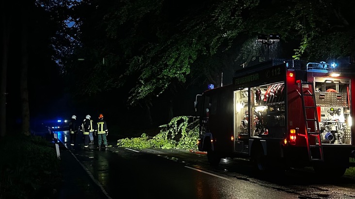 FW-AUR: Äste im Egelser Wald herabgestürzt
