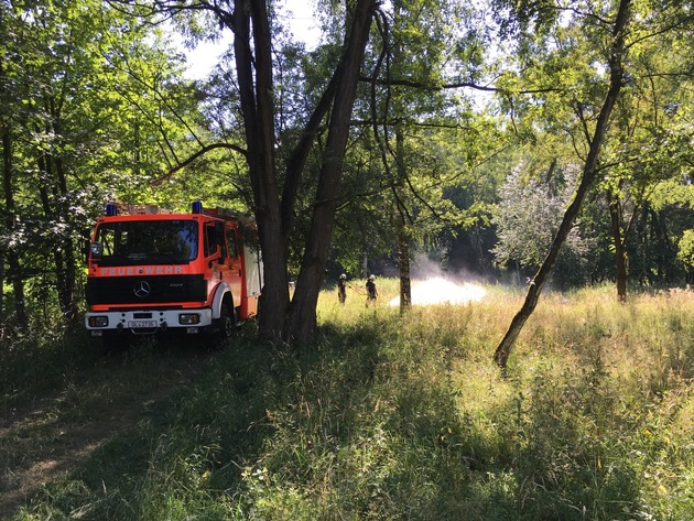 FW-GL: Feuerwehr Bergisch Gladbach rettet Nachwuchs der bedrohten Gelbbauchunken vor Austrocknung