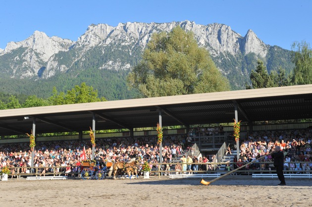 7 Haflingergespanne auf abenteuerlicher Wanderfahrt durch die Alpen - BILD