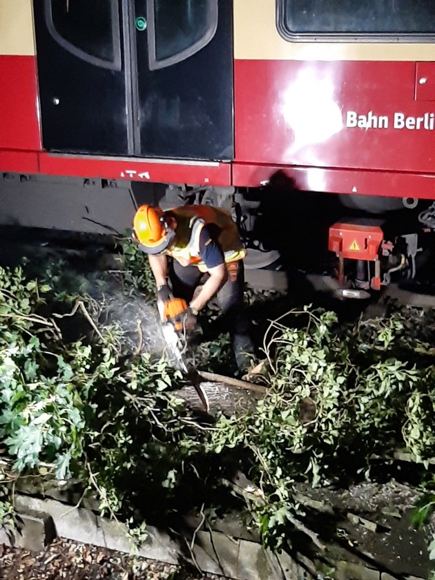 THW LVBEBBST: Über 360 Einsatzkräfte des THW beseitigen Sturmschäden in Berlin, Brandenburg und Sachsen-Anhalt