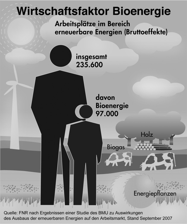 Wirtschaftsfaktor Bioenergie - Neue Zahlen legt die Endversion einer BMU-Studie vor: