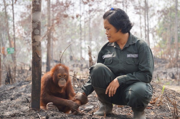 Weleda hilft Orang-Utans auf Borneo