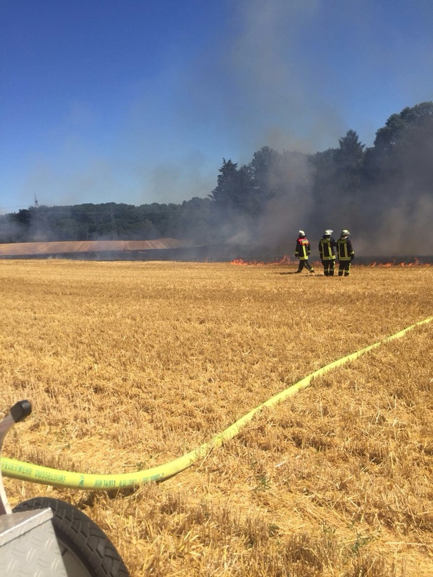 FW-D: Stoppelfeldbrand in Hubbelrath - Feuerwehr verhindert ein Übergreifen auf Wald