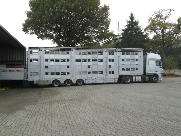 POL-WL: Autobahnpolizei stoppt überladenen Schweinetransport