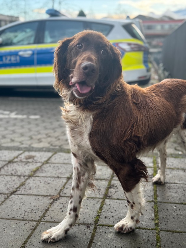 BPOL NRW: Ein Hofhund mit dem Zug auf Reisen - Bundespolizei führt Hund und Herrchen wieder zusammen