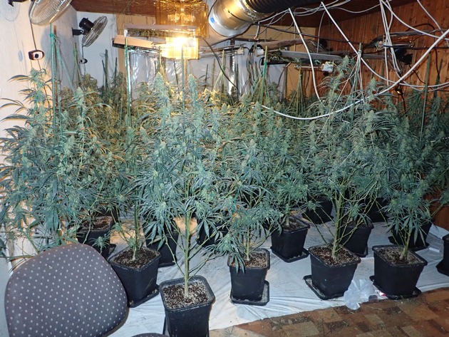 POL-ESW: Eschweger Kripo klärt Einbruchsserie und hebt Cannabisplantage aus