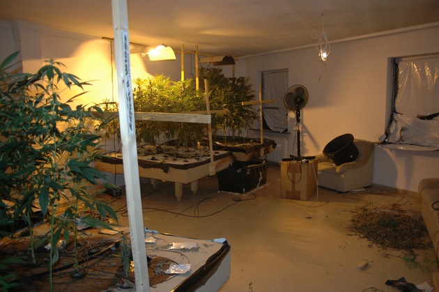 POL-NOM: Cannabisplantage in Northeimer Wohnung betrieben - Bilder im Anhang