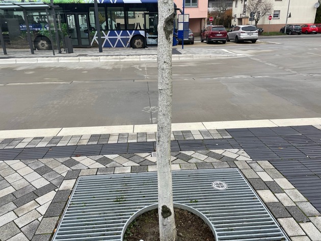 POL-PDTR: Beschädigung eines Baums am ZOB