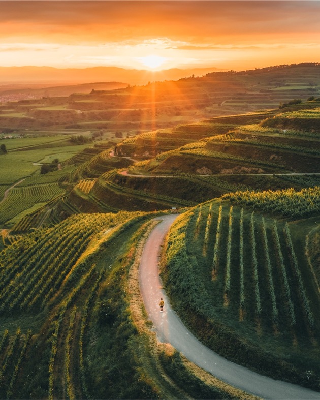 Pressemitteilung: Tourismus stabil auf hohem Niveau