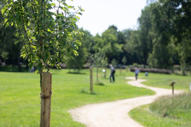 Neuer Mehrgenerationenpark: Raum für Bewegung, Begegnung und gemeinsames Naturerleben