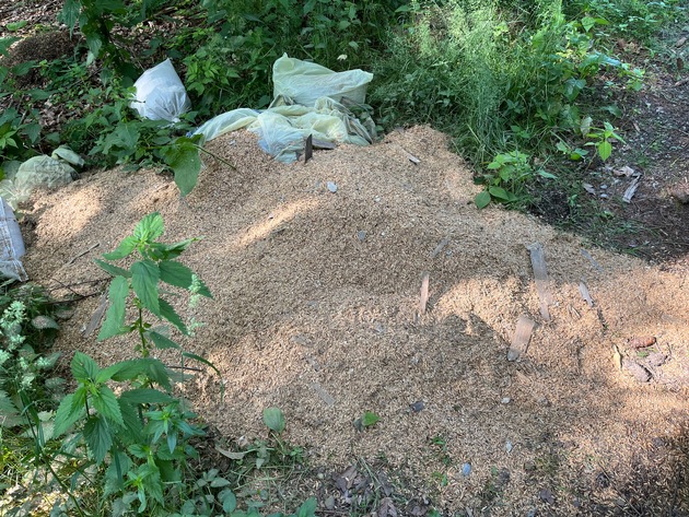 POL-UL: (BC) Hochdorf - Müll entsorgt / Mehrere Säcke mit Müll entdeckte ein Zeuge am Mittwoch in einem Wald bei Hochdorf.