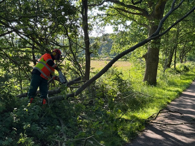 FW-AUR: Baum droht auf Radweg zu fallen