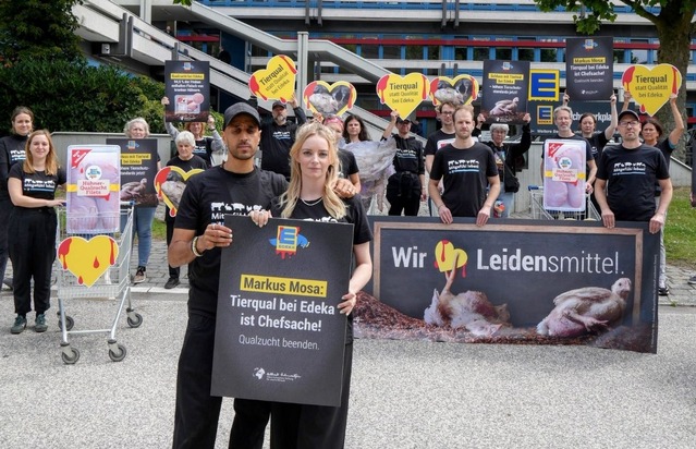 Albert Schweitzer Stiftung für unsere Mitwelt: Fleisch-Attrappen und Riesenhühner: Tierschutzprotest sorgt für Trubel vor der Edeka-Zentrale