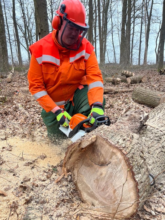 FFW Bergen: Kettens&auml;genausbildung Modul A der Stadtfeuerwehr Bergen