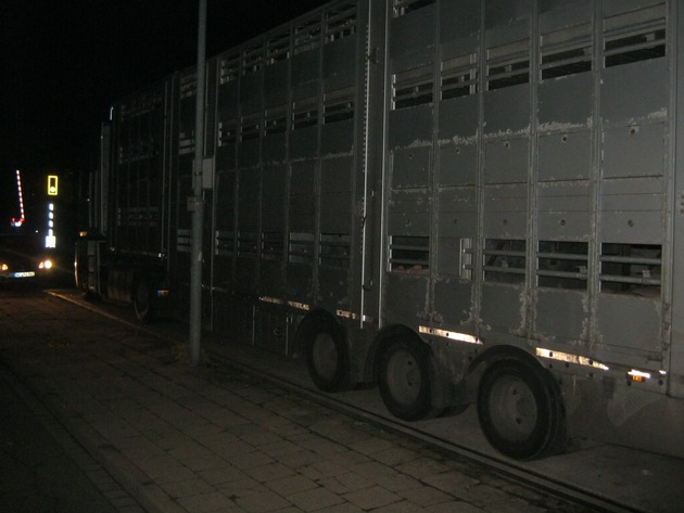 POL-WL: Wieder überladener Schweinetransport gestoppt