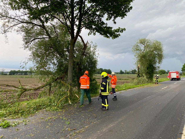FW Flotwedel: Zwei umgestürzte Bäume behindern den Straßenverkehr bei Langlingen