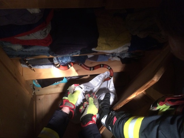 FW Lage: Ungewöhnlicher Einsatz - Feuerwehr sichert Schlange in einer Wohnung!