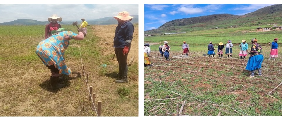 Weltwassertag 2026: &bdquo;Wasser ist Leben&ldquo;