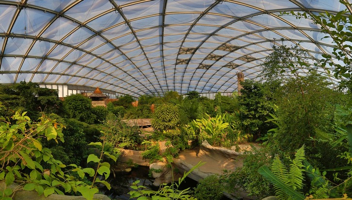 Zoo Leipzig blickt auf zehn Jahre Tropenerlebniswelt Gondwanaland zurück und bietet attraktive Veranstaltungen