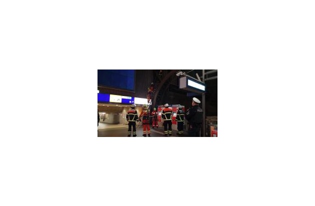 BPOL-HH: Über zwei Promille: Mann von Dachkonstruktion im Hauptbahnhof gerettet-