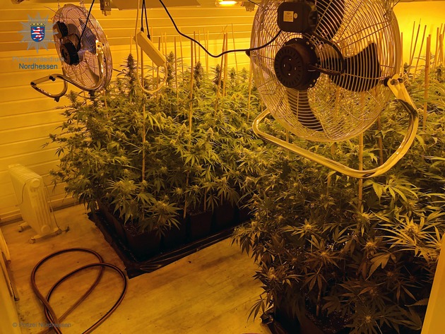 POL-KS: Cannabis-Plantage in Waldeck ausgehoben: Drei Tatverdächtige festgenommen
