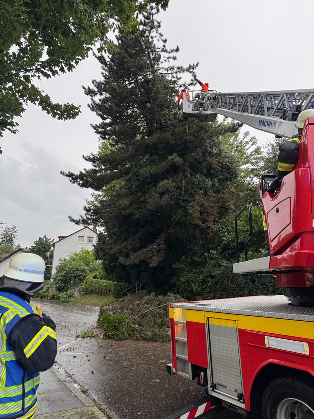 FW-OG: Unwetter über Offenburg - Straßen und Keller überflutet, Bäume entwurzelt und abgeknickt.