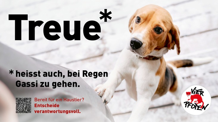 VIER PFOTEN Schweiz lanciert die Kampagne &laquo;Bereit f&uuml;r ein Haustier? Entscheide verantwortungsvoll&raquo;