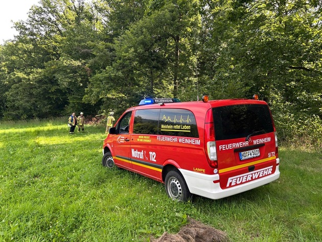 FW Weinheim: Arbeitsunfall im Wald Feuerwehr und Rettungsdienst retten verletzte Person aus unwegsamem Gelände