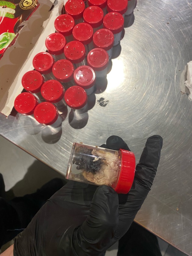 HZA-K: Kölner Zoll findet rund 1.500 Vogelspinnen versteckt in Keksverpackungen / Schmuggelpaket aus Vietnam war auf dem Weg ins Sauerland