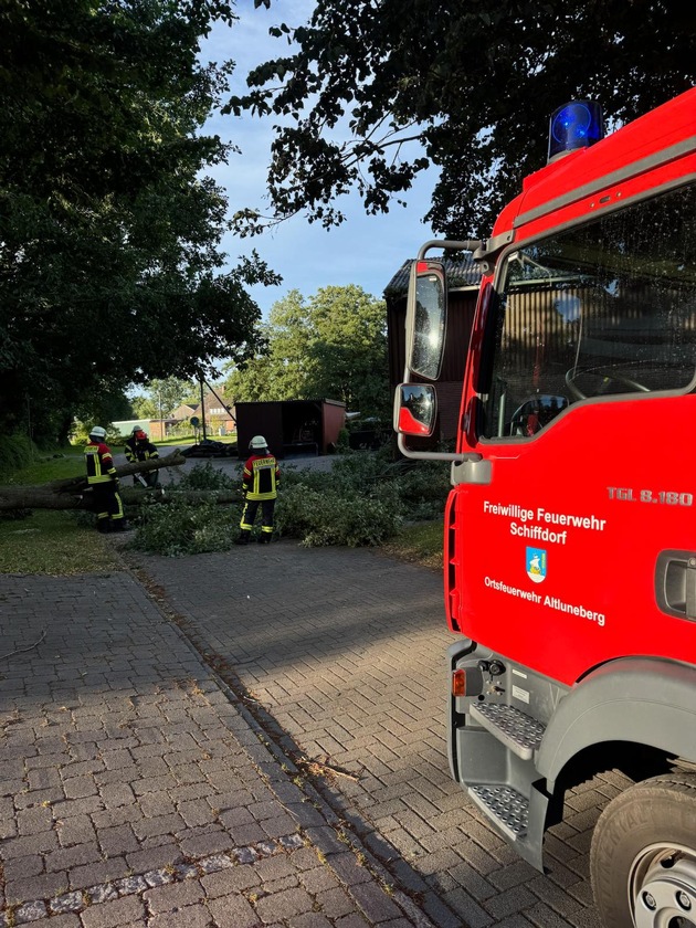 FFW Schiffdorf: Feuerwehr beseitigt Baum von Straße