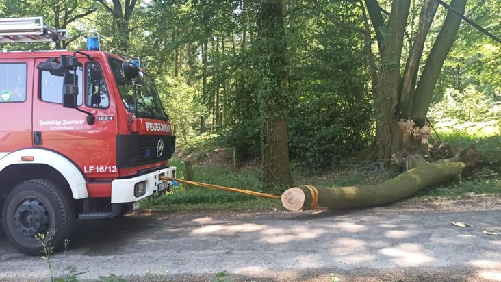 FW-Schermbeck: Baum blockiert Fahrbahn