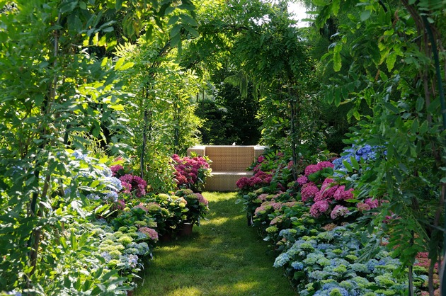 Gärtnerinnen und Gärtner aufgepasst: Woran erkennen Sie Qualität von Pflanzen und Gehölzen? Empfehlungen für Privatgärten sowie öffentliches Grün