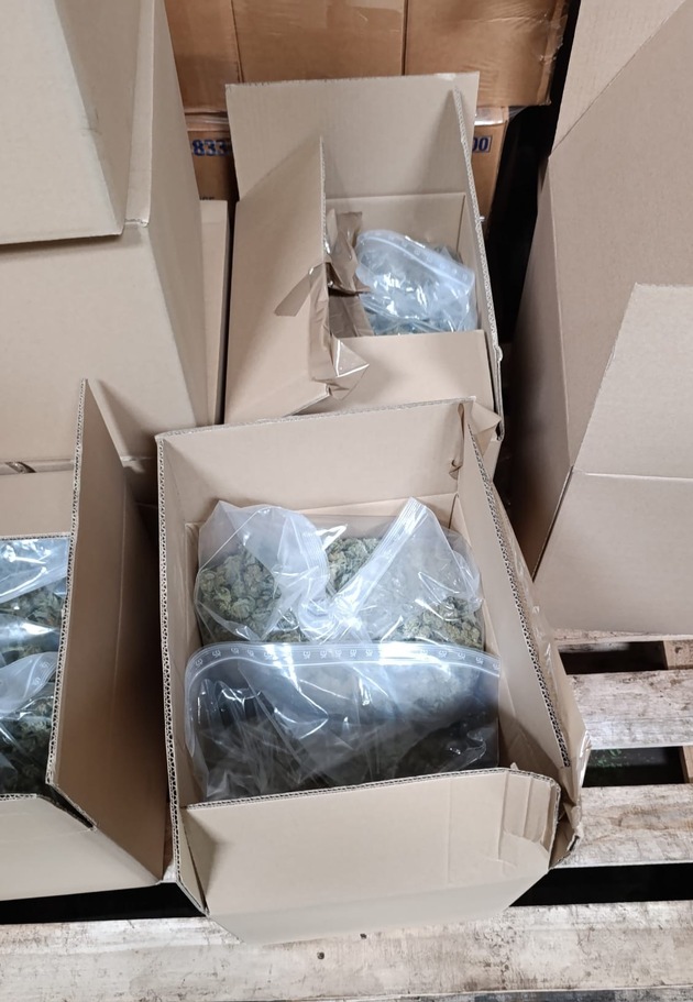 POL-EL: Schüttorf - Große Cannabisplantage in Schüttorf entdeckt - drei Beschuldigte vorläufig festgenommen