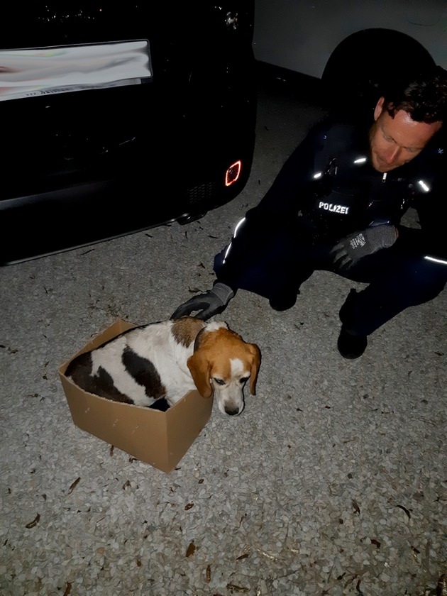 BPOLI L: Außergewöhnliche Rettungsaktion- Bundespolizisten finden kleinen verängstigten Beagle in Thekla