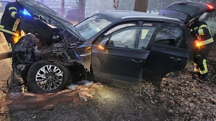 POL-STD: 20-jähriger Autofahrer unter Alkoholeinfluss in Mulsum gegen Baum gefahren