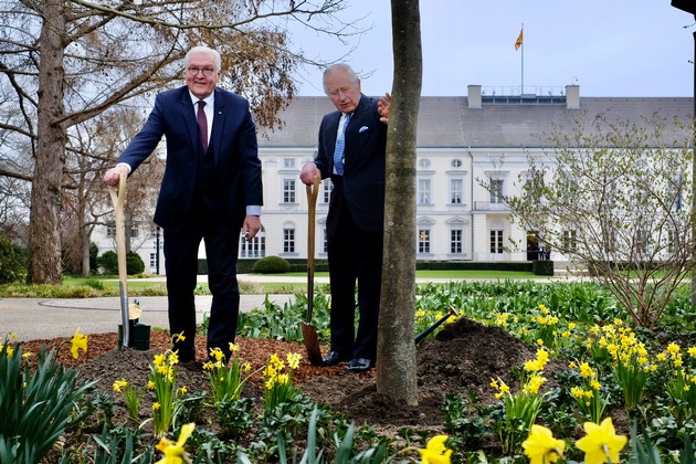 Königlicher Abschluss: König Charles III. und Bundespräsident Steinmeier pflanzen Manna-Esche zu Ehren der Queen