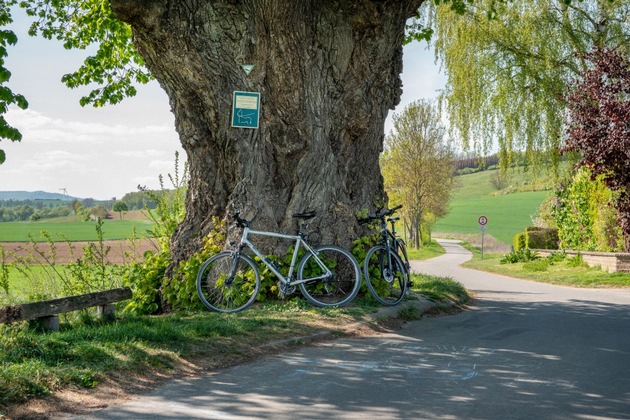 LiteRADtour auf zwei Rädern in Einbeck