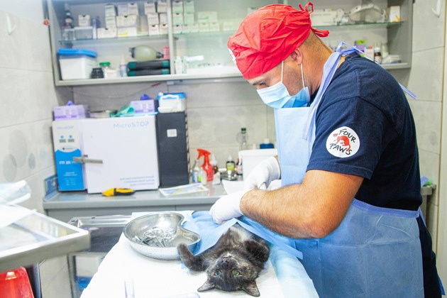 Hund Kosmos und Katze Nyusha überleben Bombenangriff in der Ukraine