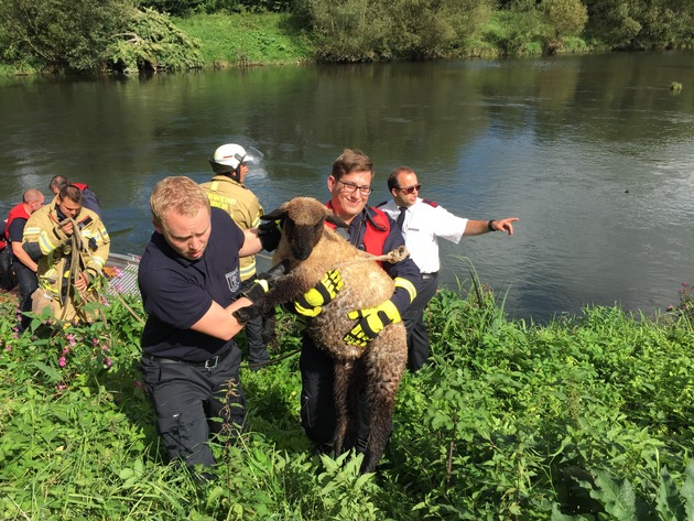 FW Menden: Hilfloses Schaf in der Ruhr