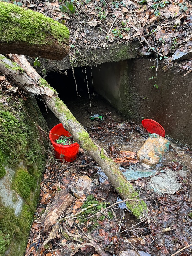 POL-FR: Münstertal: Gewässerverunreinigung - Zeugen gesucht