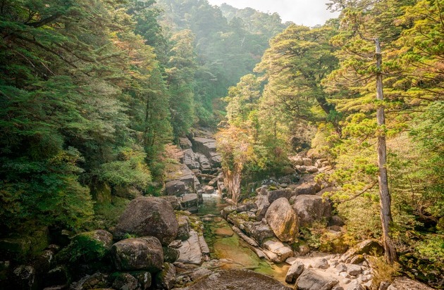 Japanische Fremdenverkehrszentrale (JNTO): Studio Ghibli: 25 Jahre Prinzessin Mononoke und der erste Ghibli-Park in Japan / Auf den Spuren der Anime-Stars