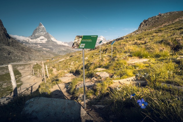 «Werthaltig unterwegs» – Die BVZ-Gruppe veröffentlicht erstmals einen Nachhaltigkeitsbericht nach GRI-Standards