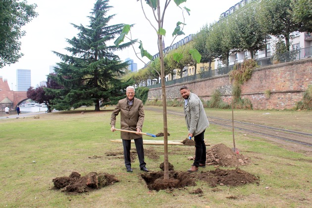 Für das Stadtklima der Zukunft: Zurich Versicherung pflanzt „Kiris“ und spendet 24.000 Bäume für den Frankfurter Stadtwald