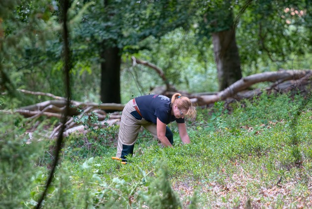 PRESSEMITTEILUNG: 40 Ehrenamtliche im Einsatz für Waldbiotope und Artenvielfalt: Das Bergwaldprojekt in Neukirchen