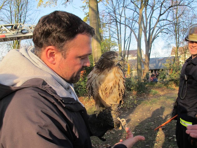 FW-D: Greifvogel verfängt sich in Ast