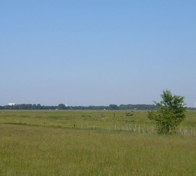 Nature-Studie: Klimawandel ver&auml;ndert Europas Pflanzenwelt je nach &Ouml;kosystem unterschiedlich