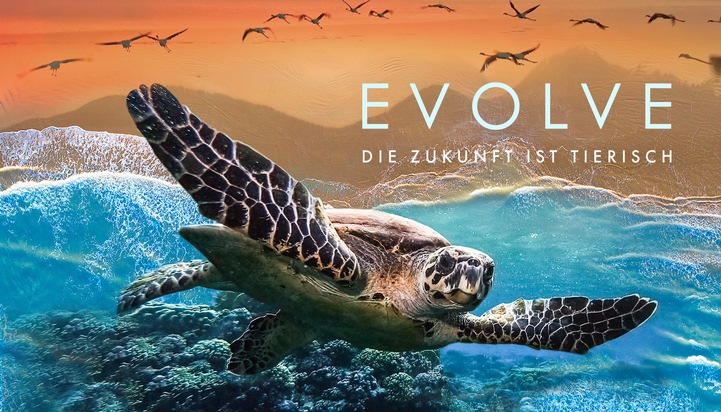 &quot;Evolve - Die Zukunft ist tierisch&quot; / Neue Doku-Reihe über Bionik in der ARD Mediathek