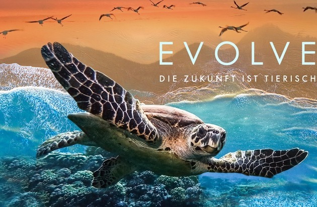 "Evolve - Die Zukunft ist tierisch" / Neue Doku-Reihe über Bionik in der ARD Mediathek