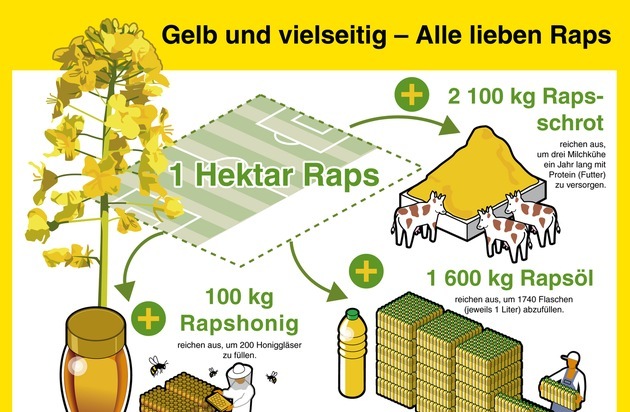OVID Verband der ölsaatenverarbeitenden Industrie in Deutschland e. V.: Raps ist vielseitig und macht glücklich