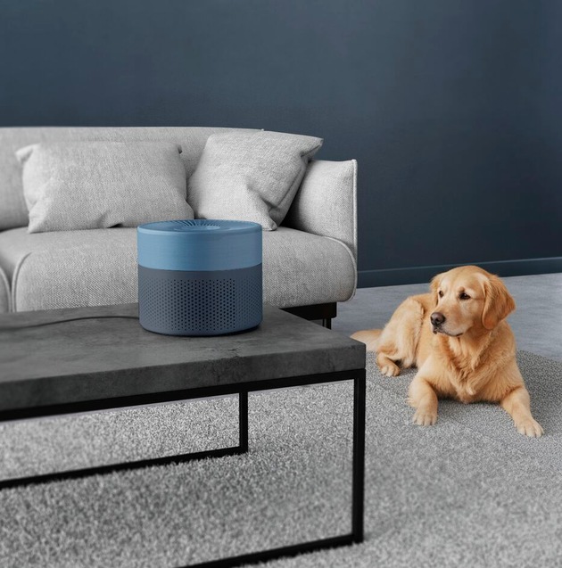 Minimaler Platzbedarf, maximale Effizienz: Rowenta Pure Air Mini sorgt &uuml;berall f&uuml;r saubere Luft